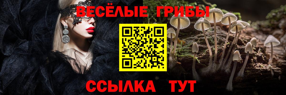 Галлюциногенные грибы прущие грибы Красноармейск